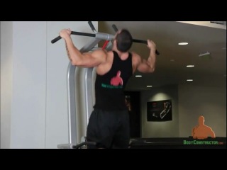 lazar angelov (pulls)