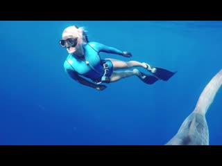 freediving / paradise girls ocean diving shark beauty nature