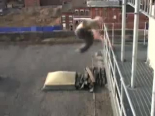 world champion in parkour is unrealistically cool